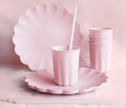 MUOVIPILLI UUDELLEENKÄYTETTÄVÄ PUHDISTUSHARJALLA 23 CM V.PUNAIN