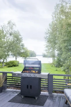MUSTANG KAASUGRILLI SMITHVILLE 4+1