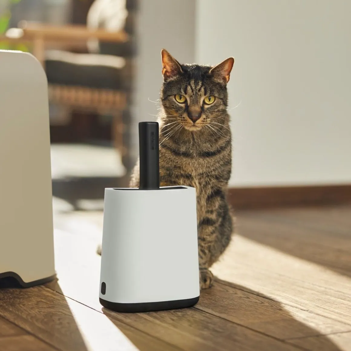 MYPET KISSANHIEKKALAPIOTELINE LAPIOLLA JA PUSSILOKEROLLA VALKOI