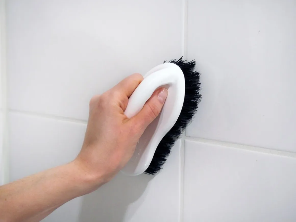 NORD CLEAN KUURAUSHARJA