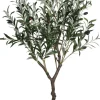 OLIIVIPUU 121 CM TEKOKASVI