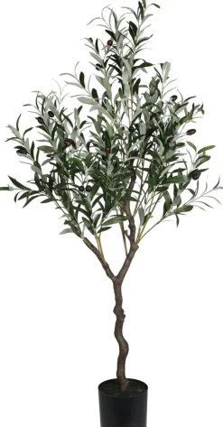 OLIIVIPUU 121 CM TEKOKASVI