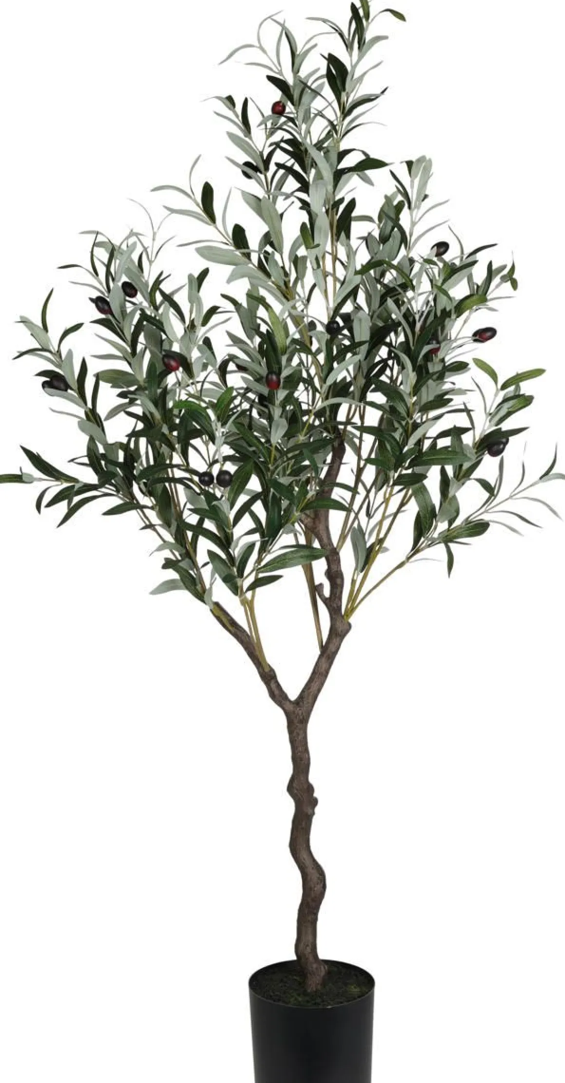 OLIIVIPUU 121 CM TEKOKASVI