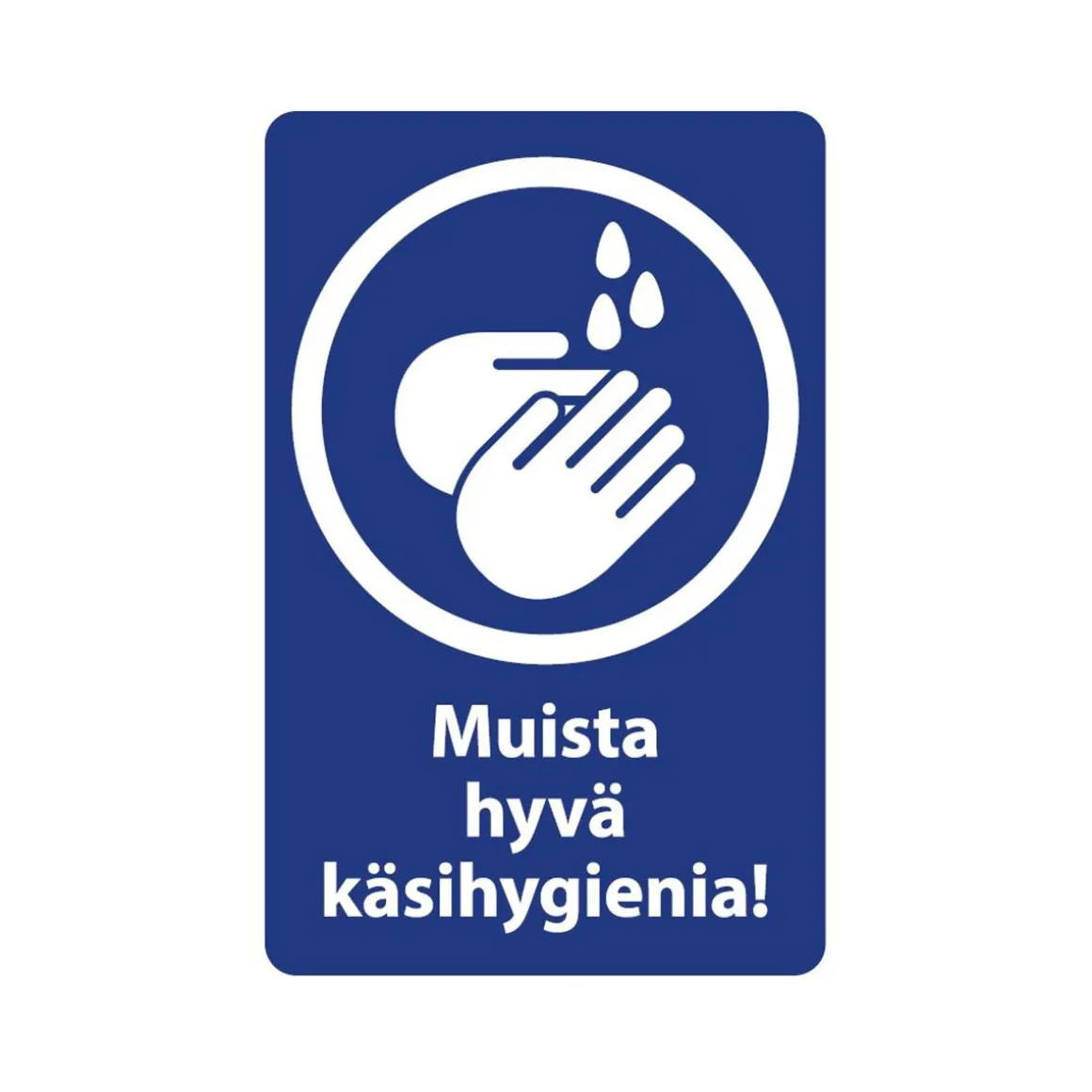 OPASTE MUISTA HYVÄ KÄSIHYGIENIA 20X30 CM