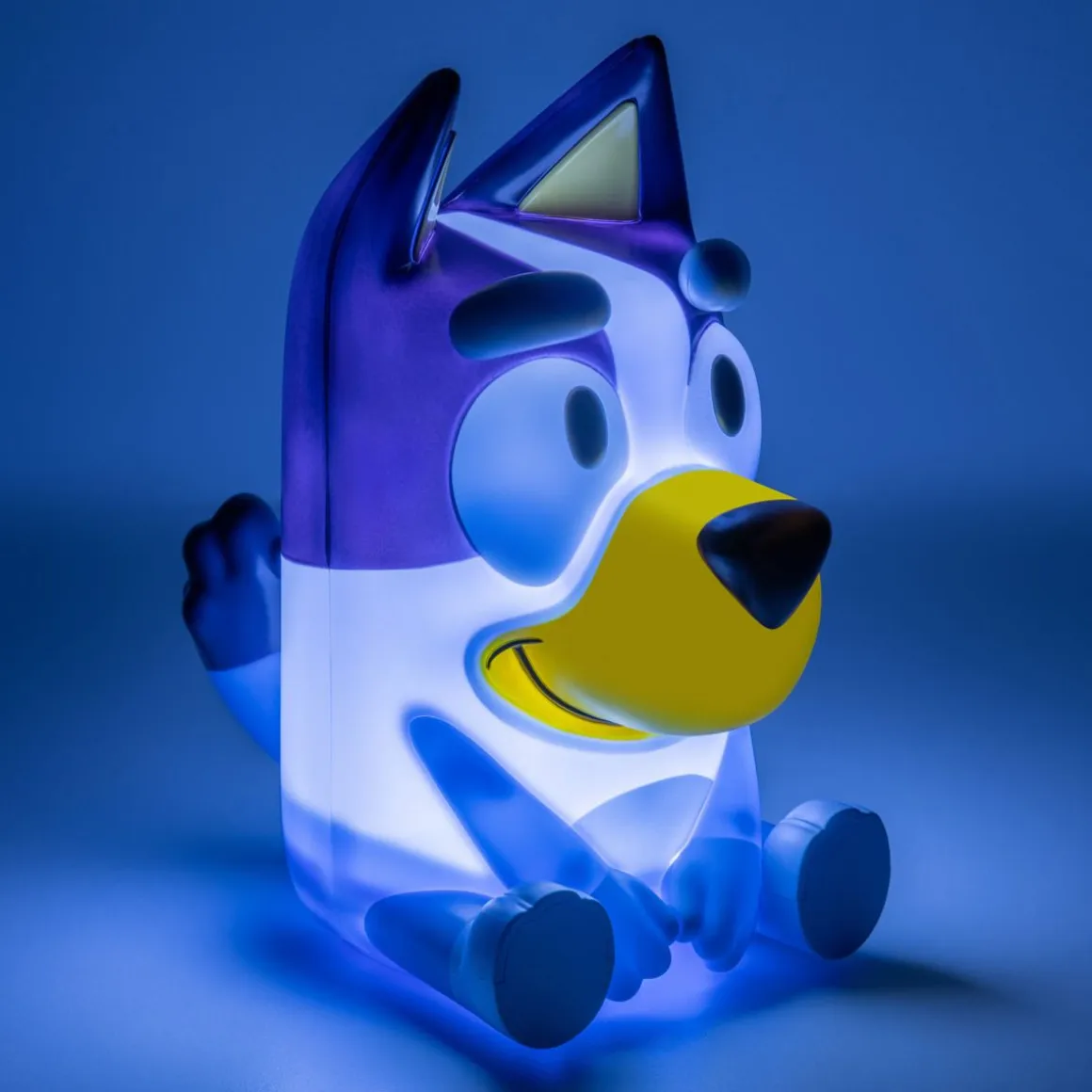 PALADONE BLUEY KORISTEVALO