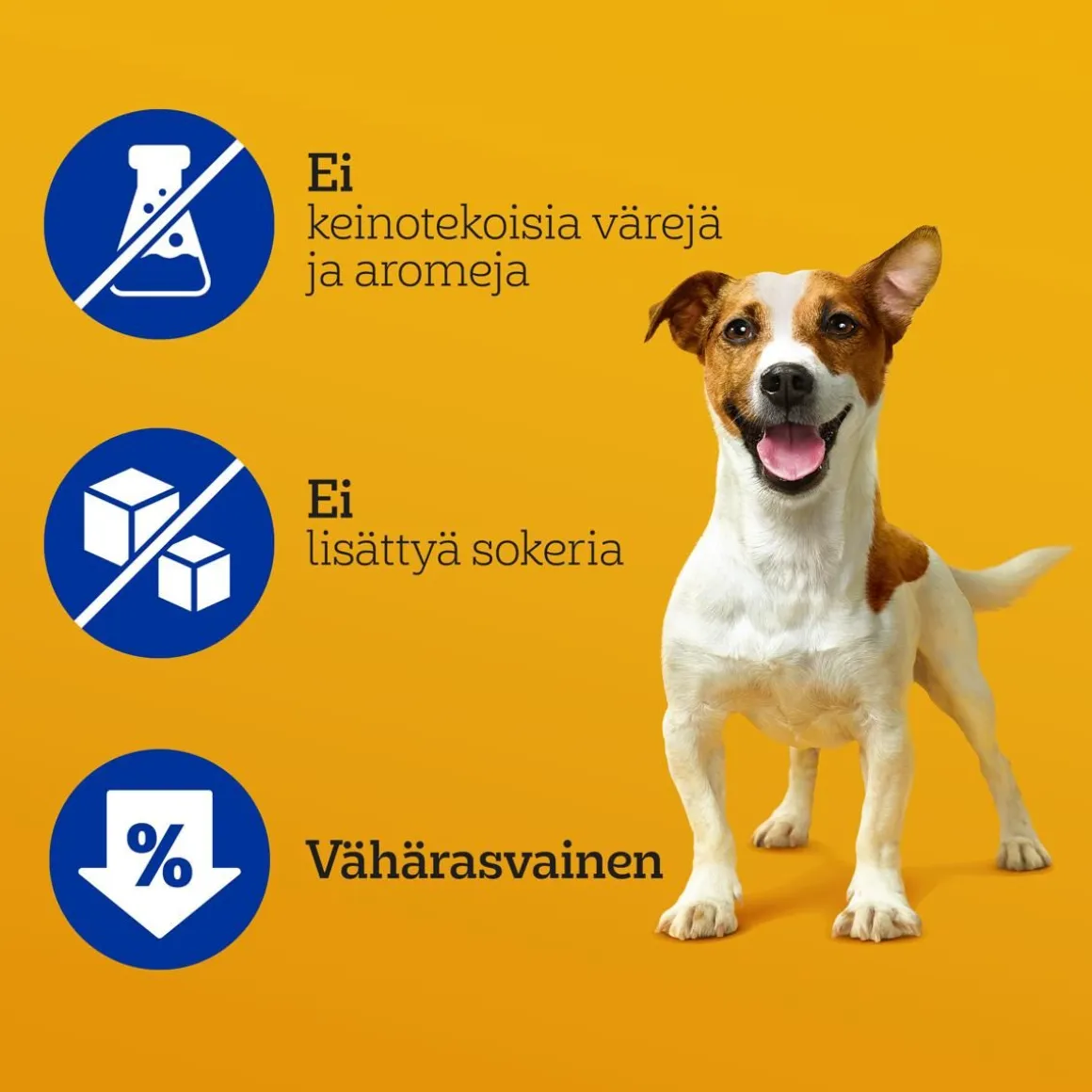 PEDIGREE DENTASTIX SMALL 5*110G MONIPAKKAUS 550 G