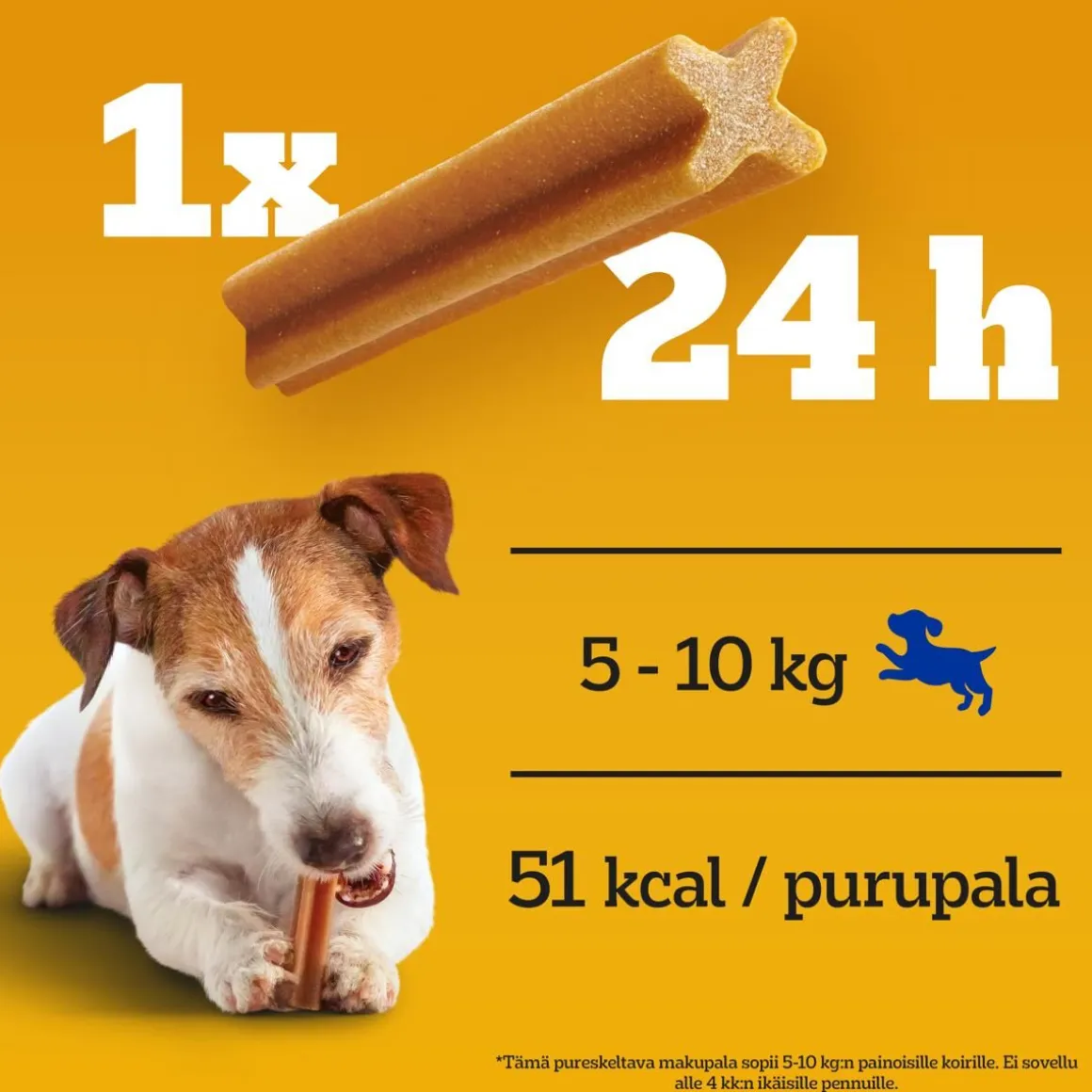 PEDIGREE DENTASTIX SMALL 5*110G MONIPAKKAUS 550 G