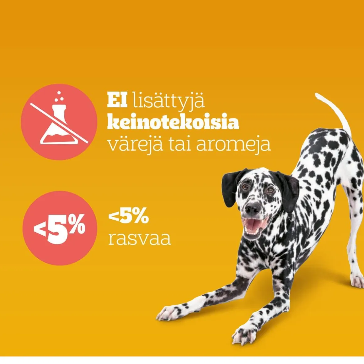 PEDIGREE MULTIVITAMINS JOINT CARE 180 G