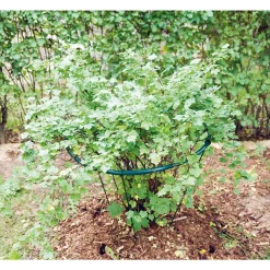 PENSASTUKI PYÖREÄ HALKAISIJA 65CM