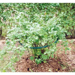 PENSASTUKI PYÖREÄ HALKAISIJA 65CM