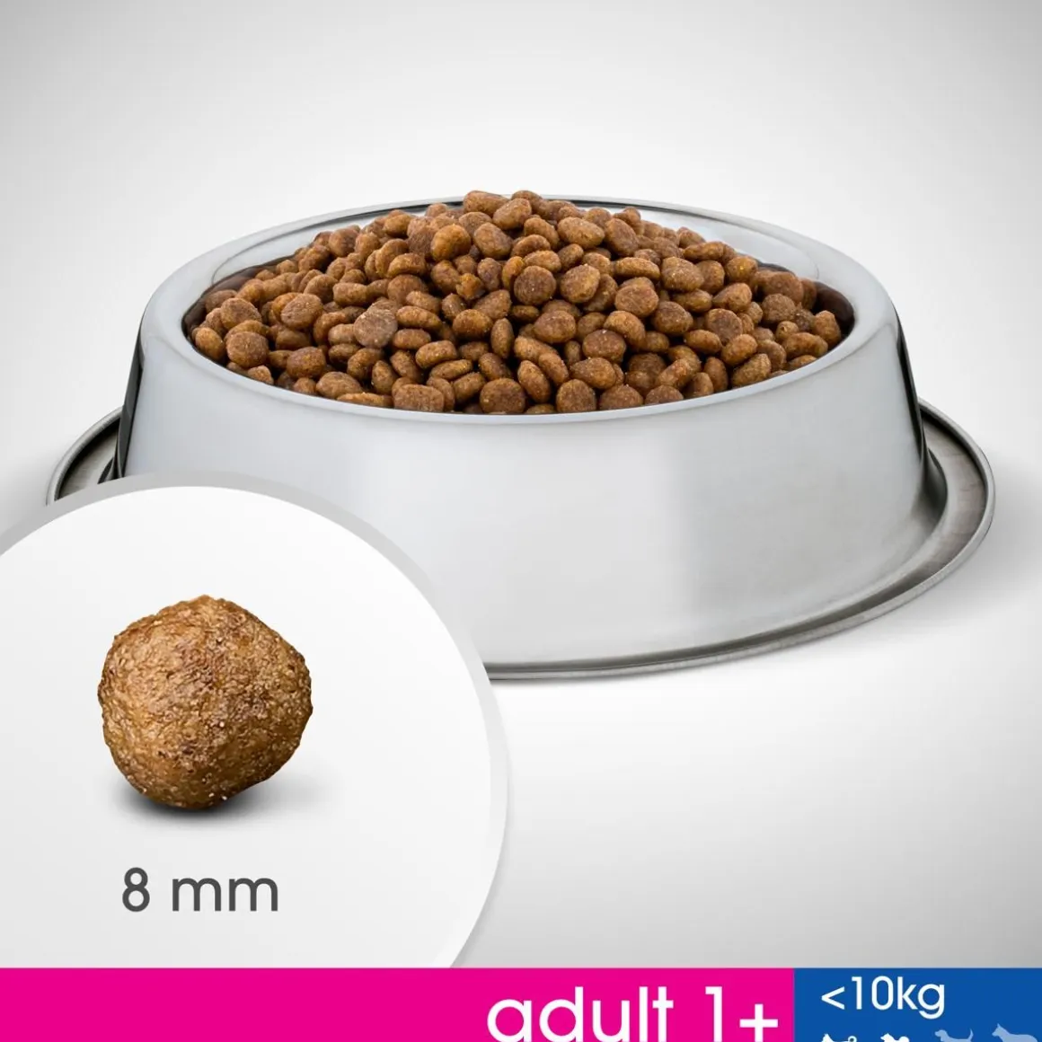 PERFECT FIT ALLE 10KG ADULT KANAA 2,6 KG