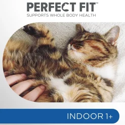 PERFECT FIT INDOOR KANAA 1,4 KG