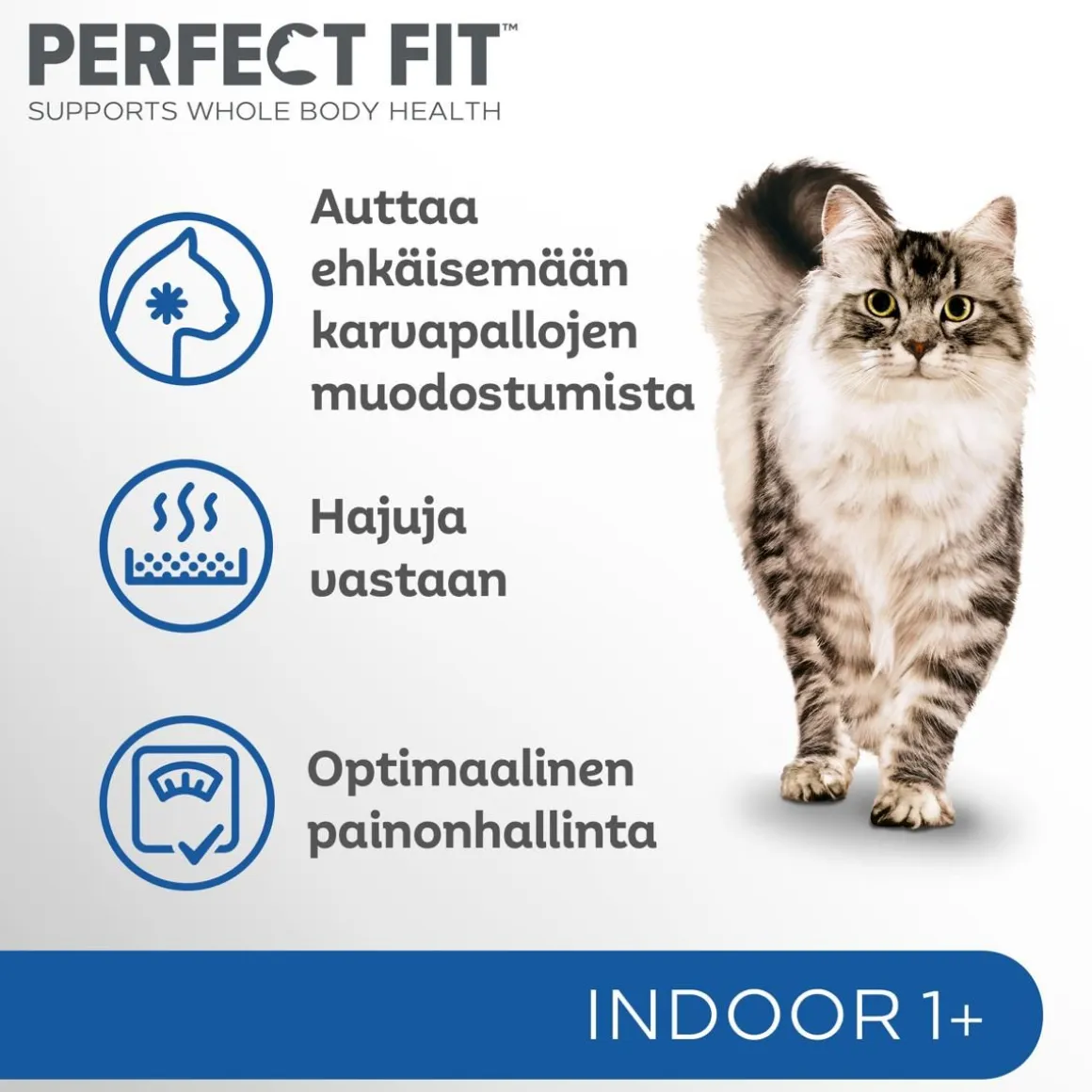 PERFECT FIT INDOOR KANAA 1,4 KG