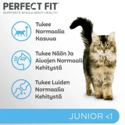 PERFECT FIT JUNIOR KANAA 750 G