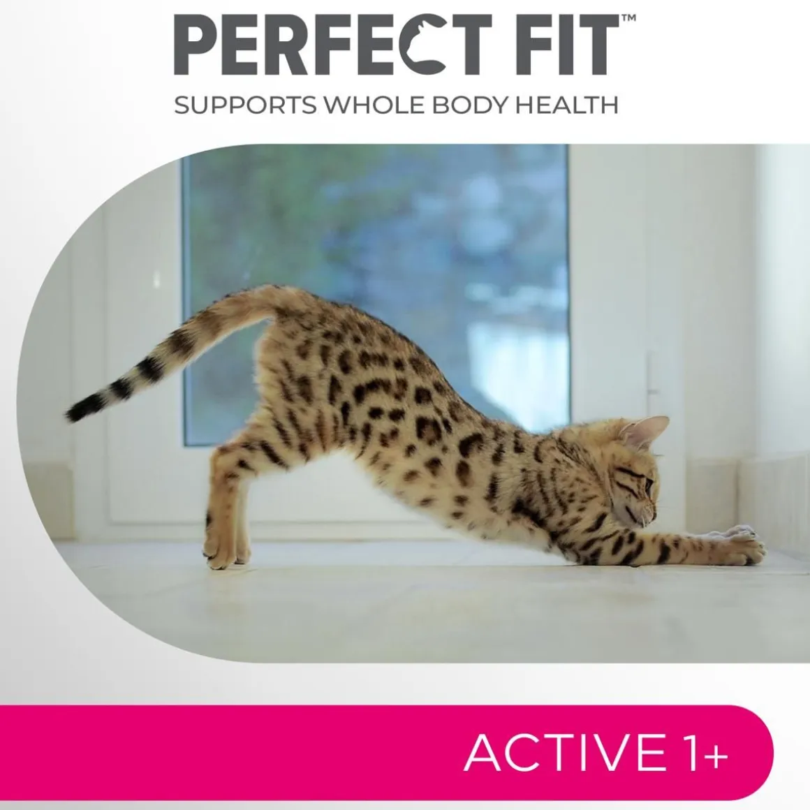 PERFECT FIT ADULT HÄRKÄÄ 750 G