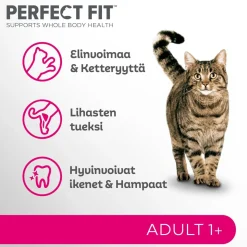 PERFECT FIT ADULT KANAA 1,4 KG