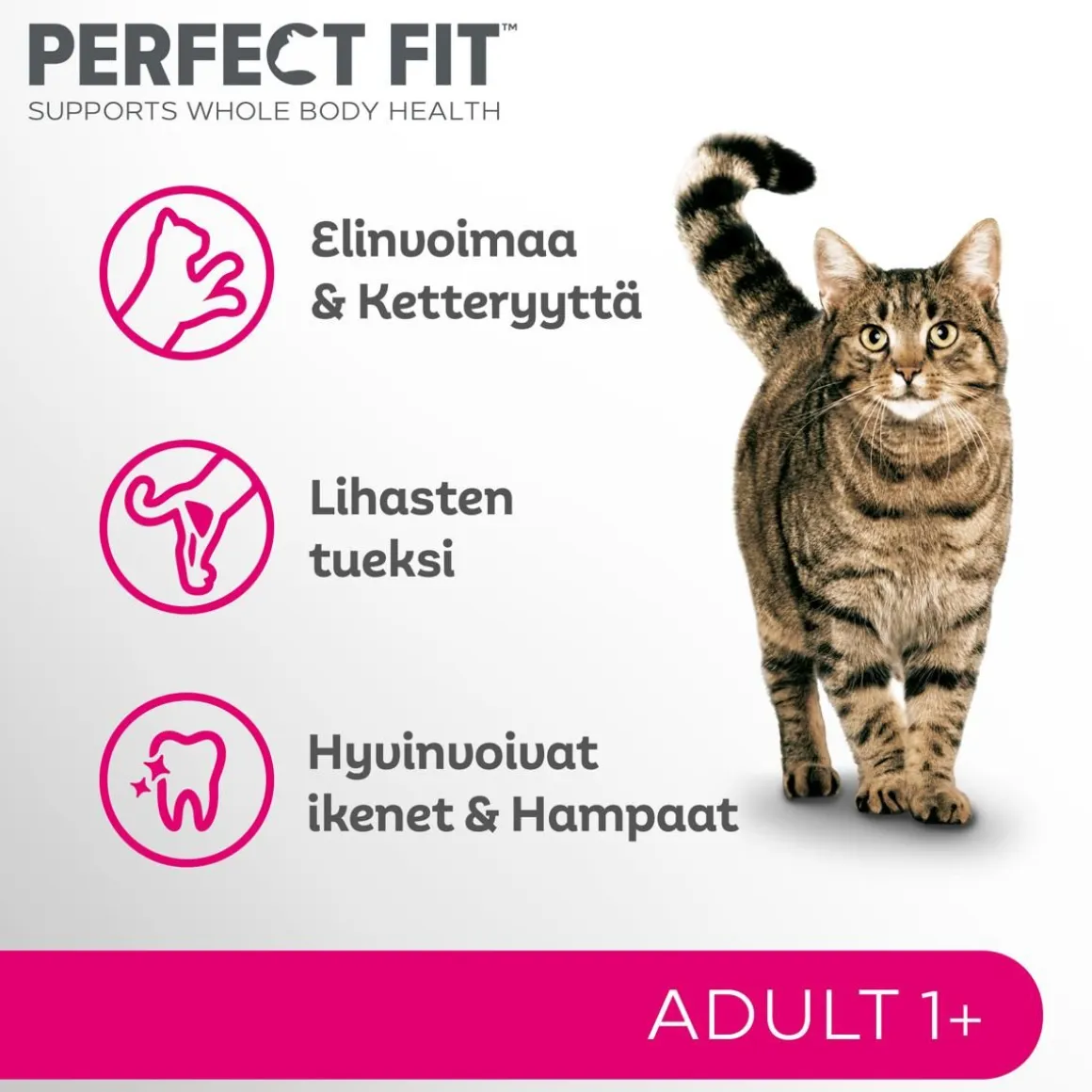 PERFECT FIT ADULT KANAA 1,4 KG