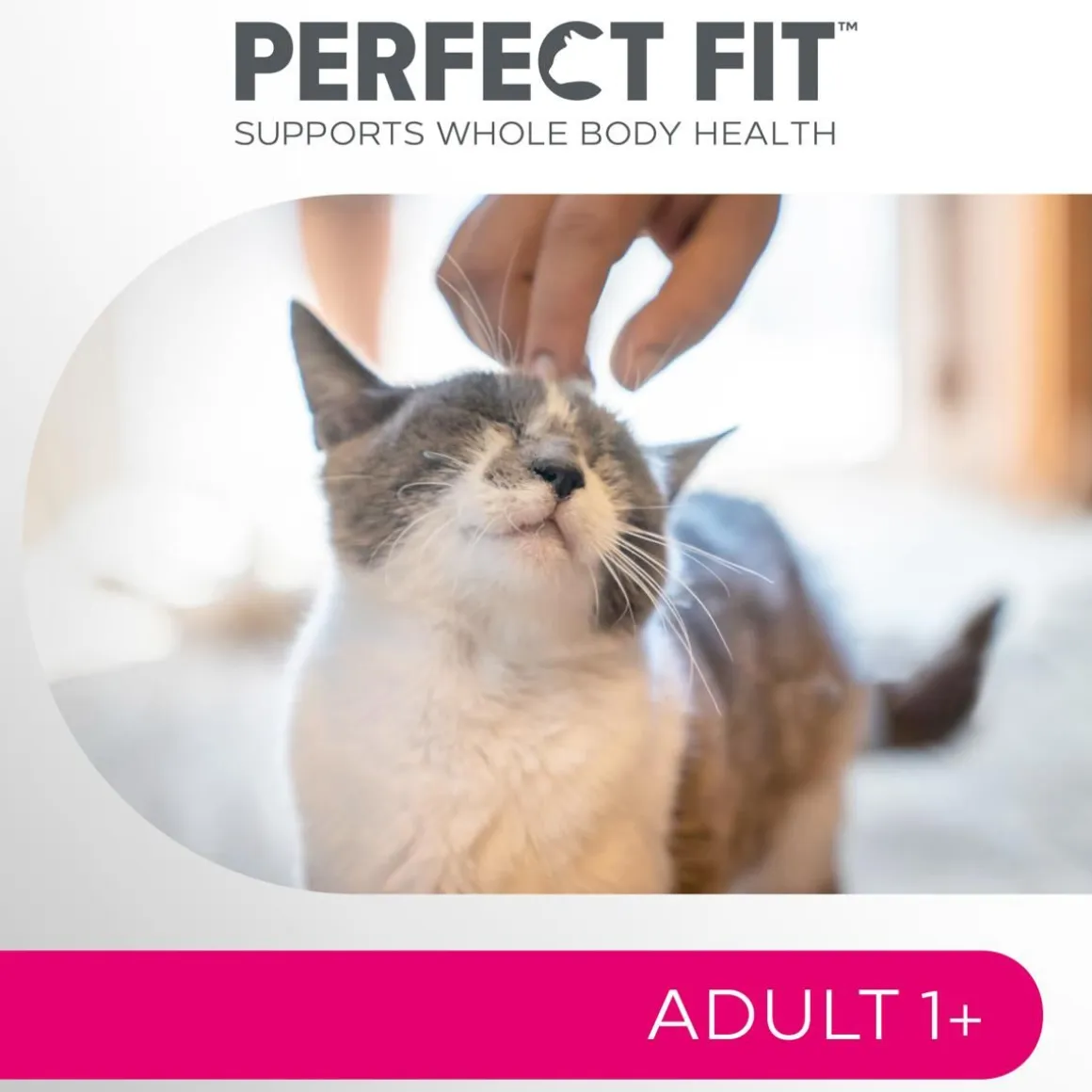 PERFECT FIT ADULT KANAA 1,4 KG