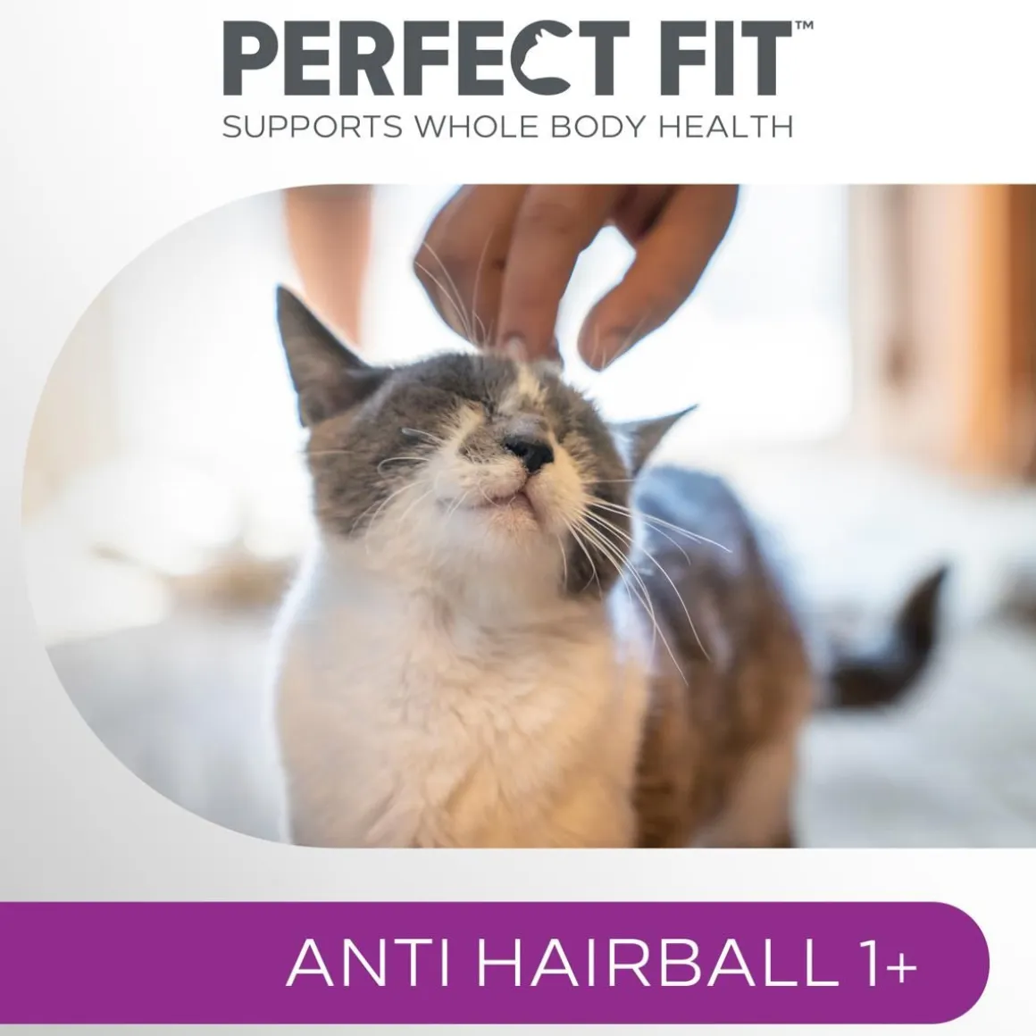 PERFECT FIT ANTIHAIRBALL KANAA 750 G
