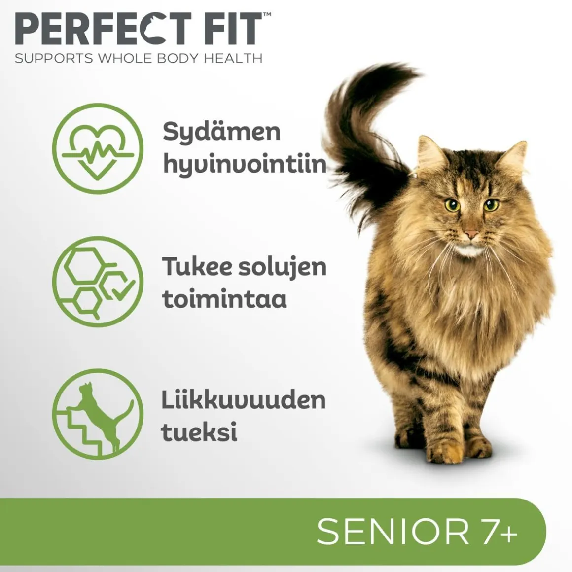 PERFECT FIT SENIOR KANAA 1,4 KG