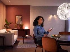 PHILIPS HUE WHITE ÄLYLAMPPU 9.5W A60 E27 2KPL 1055L 2700K