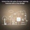 PHILIPS HUE WHITE ÄLYLAMPPU FILAMENT 4.5W E14 300L 2100K