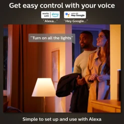 PHILIPS HUE WHITE ÄLYLAMPPU FILAMENT 4.5W E14 300L 2100K