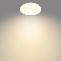 PHILIPS MOIRE KATTOVALAISIN 10W 2700K PYÖREÄ VALKOINEN