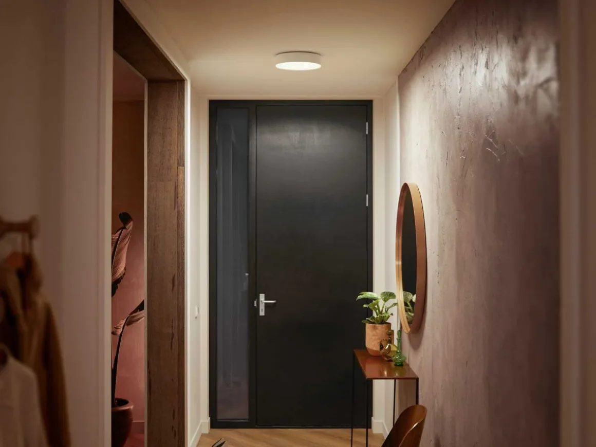 PHILIPS HUE ENRAVE KATTOVALAISIN (PIENI) 26,1CM 2200-6500K