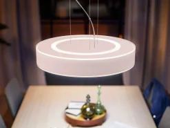 PHILIPS HUE ENRAVE RIIPPUVALAISIN 42,5CM 2200-6500K