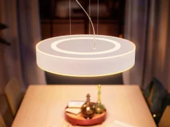 PHILIPS HUE ENRAVE RIIPPUVALAISIN 42,5CM 2200-6500K