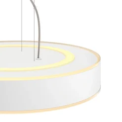 PHILIPS HUE ENRAVE RIIPPUVALAISIN 42,5CM 2200-6500K