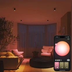 PHILIPS HUE WCA KOHDELAMPPU GU10
