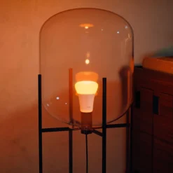 PHILIPS HUE WCA ÄLYLAMPPU A67 E27