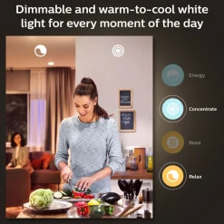 PHILIPS HUE WHITE AMBIANCE ÄLYLAMPPU 8W A60 E27 2KPL 800L 2200