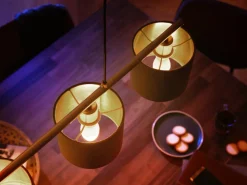 PHILIPS HUE WHITE ÄLYLAMPPU 5.5W B39 E14 2KPL 470L 2700K