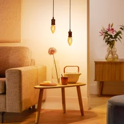 PHILIPS LED KYNTTILÄLAMPPU 15W B35 E14 AMBER 1800K HIMMENNYS