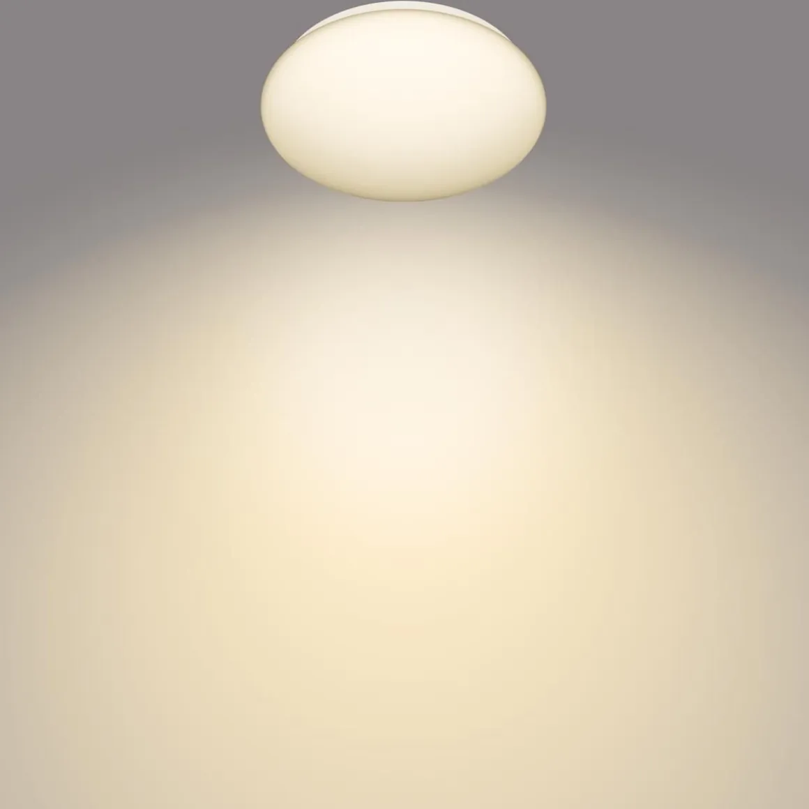 PHILIPS MOIRE KATTOVALAISIN 6W 2700K PYÖREÄ VALKOINEN