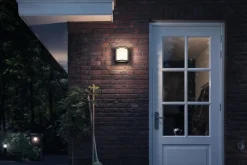 PHILIPS SAMONDRA SEINÄVALAISIN ANTRASIITTI 12W IP44 2700K