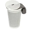 PLAST1 LIKAPYYKKIKORI 40 L VALKOINEN