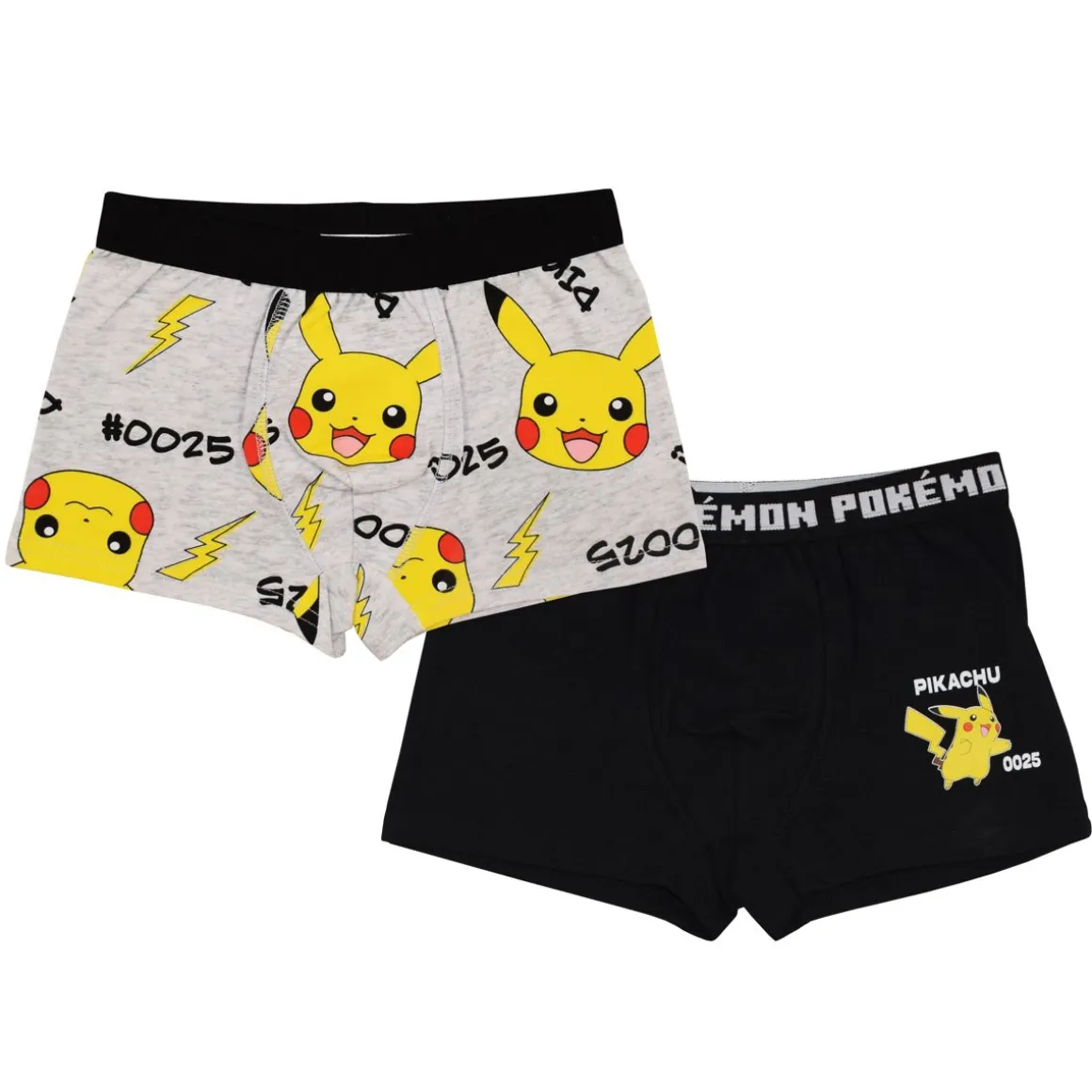 POKEMON POIKIEN POKEMON 2-PACK BOXERIT 110