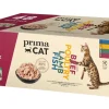 PRIMACAT CLASSIC KASTIKELAJITELMA 48*85G 4,08 KG