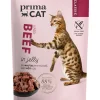 PRIMACAT CLASSIC NAUTAA HYTYELÖSSÄ 85 G