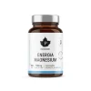 PUHDISTAMO ENERGIA MAGNESIUM  120 KPL
