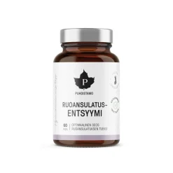 PUHDISTAMO RUOANSULATUSENTSYYMI  60 KPL