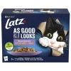 PURINA LATZ AGAIL MIXED LAJ HYYT 12*85G 1,02 KG