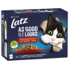 PURINA LATZ AGAIL COUNTRYSIDE LAJ HYYT 12*85G 1,02 KG