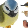 PUUTARHAPATSAS LINTU 17CM LAJITELMA