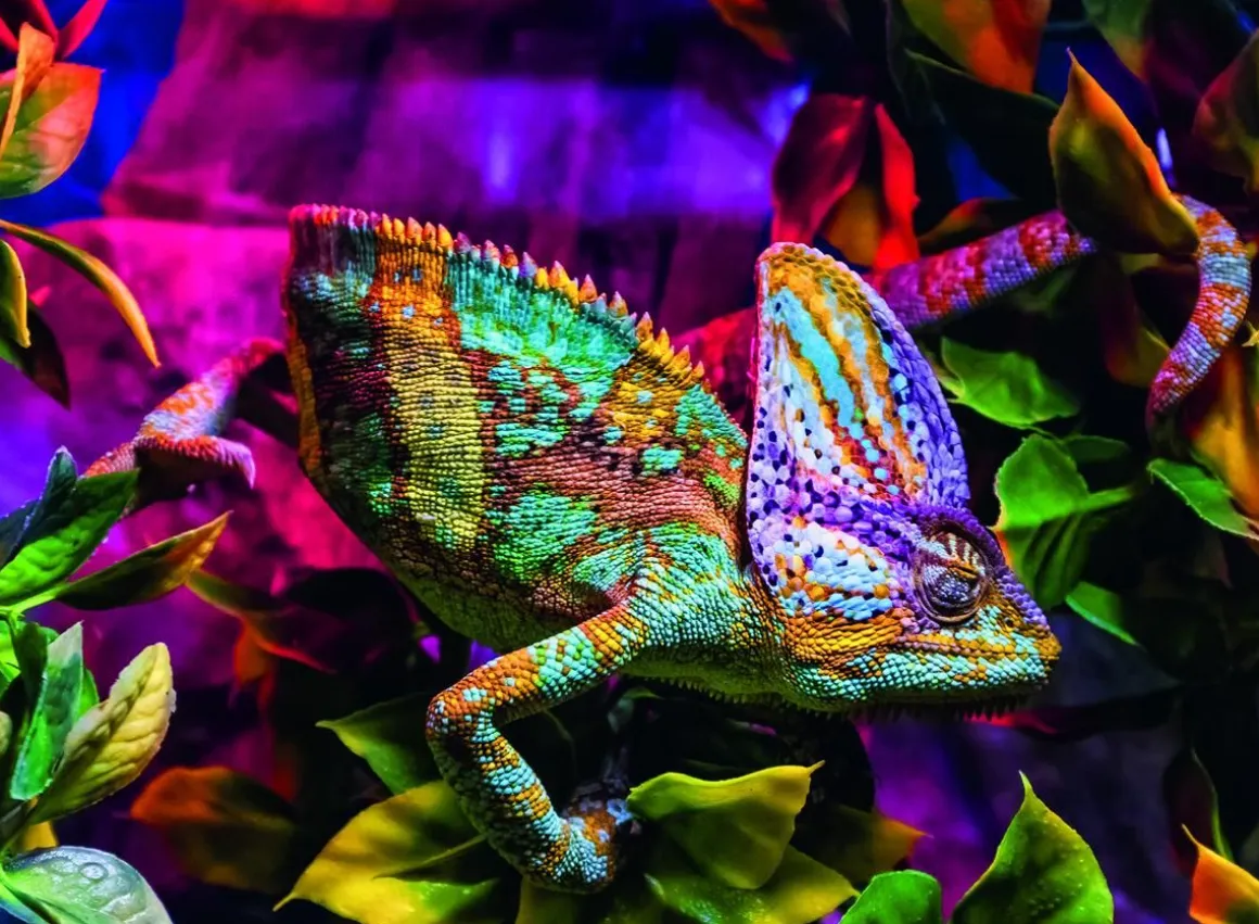 RAVENSBURGER PALAPELI 500P CHAMELEON