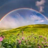 RAVENSBURGER RAINBOWSCAPE 1500 PALAA